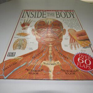 Inside the Body – DK Lift-the-Flap Human Anatomy Book by Giuliano Fornari
